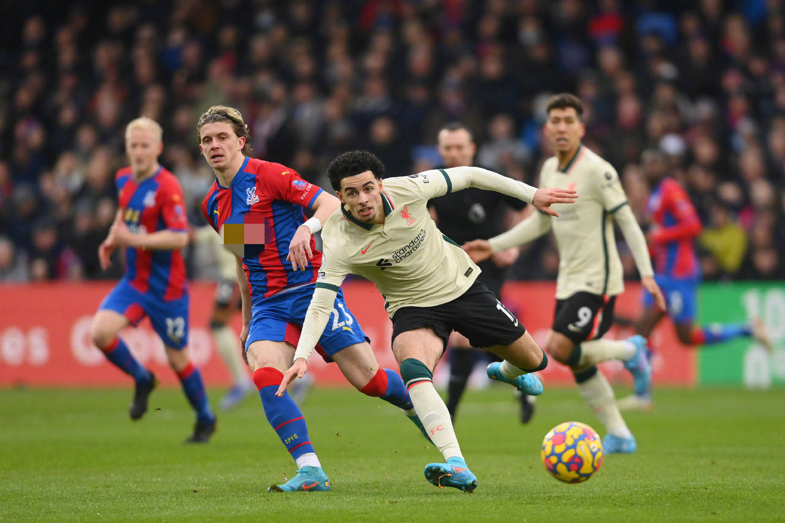 开始对训练 开始对训练